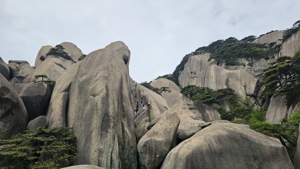 /upload/kjtrekking/file/bd1100/202606/kjtrekking_cm9910_30001442.jpg