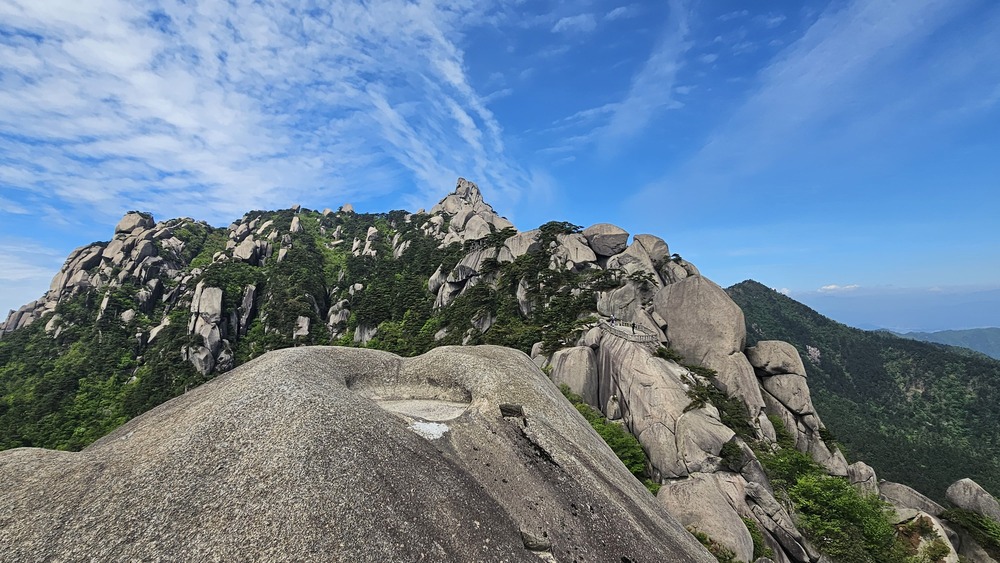 /upload/kjtrekking/file/bd1100/202606/kjtrekking_cm9910_30001449.jpg