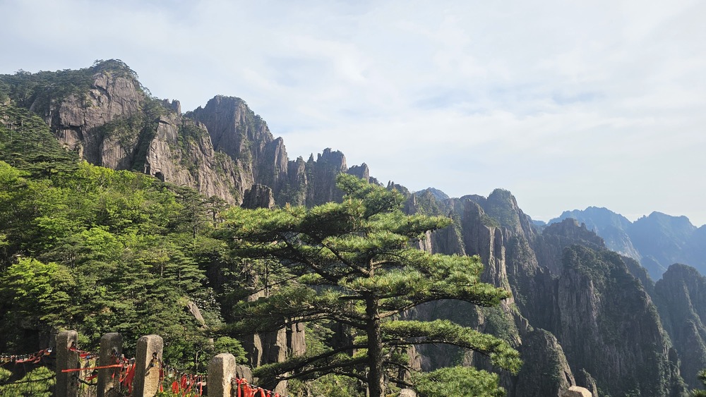 /upload/kjtrekking/file/bd1100/202606/kjtrekking_cm9910_30001463.jpg