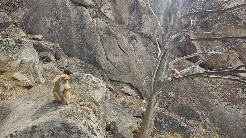 /upload/kjtrekking/file/bd1100/202606/kjtrekking_cm9910_30001472.jpg