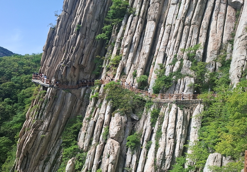 /upload/kjtrekking/file/bd1100/202606/kjtrekking_cm9910_30001506.jpg