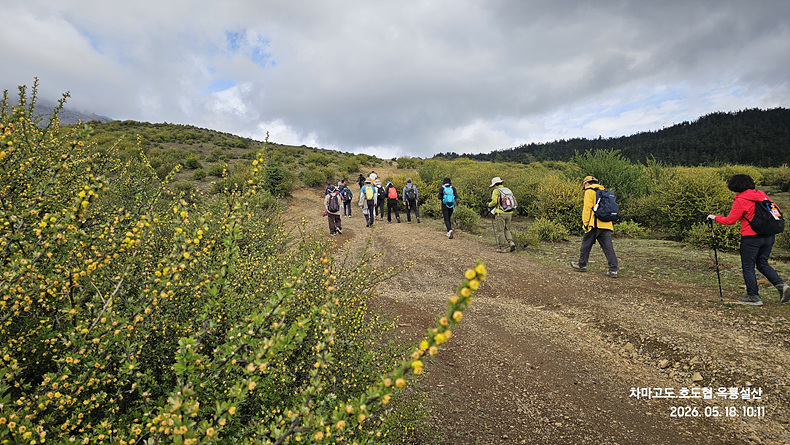 /upload/kjtrekking/file/bd1100/202606/kjtrekking_cm9910_30001557.jpg