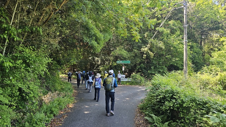 /upload/kjtrekking/file/bd1100/202606/kjtrekking_cm9910_30001589.jpg