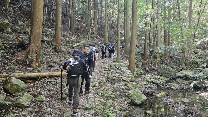 /upload/kjtrekking/file/bd1100/202606/kjtrekking_cm9910_30001590.jpg