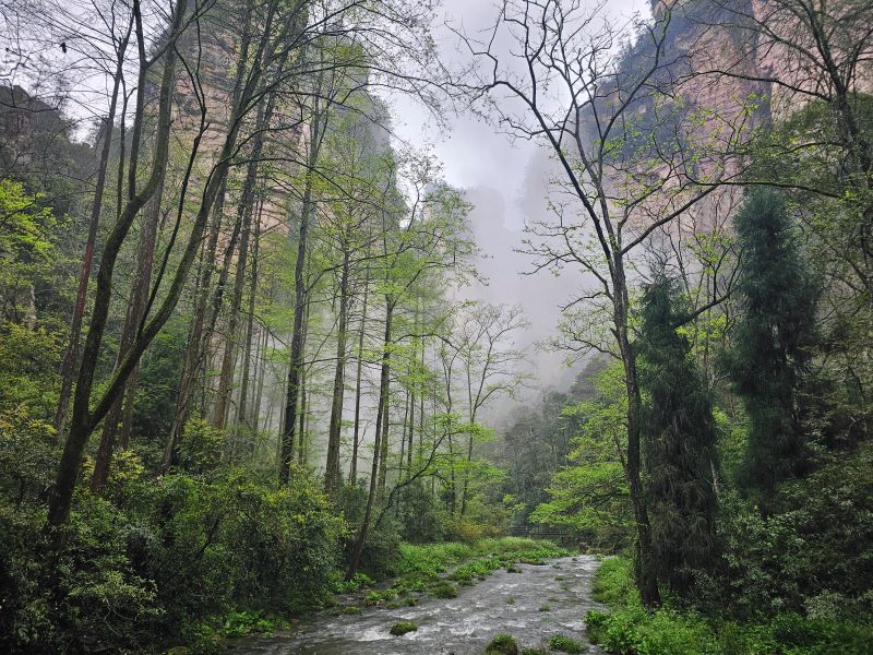 /upload/kjtrekking/file/bd1100/202606/kjtrekking_cm9910_30001626.jpg