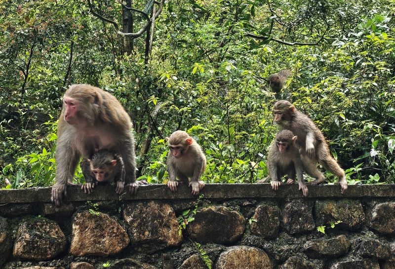 /upload/kjtrekking/file/bd1100/202606/kjtrekking_cm9910_30001628.jpg