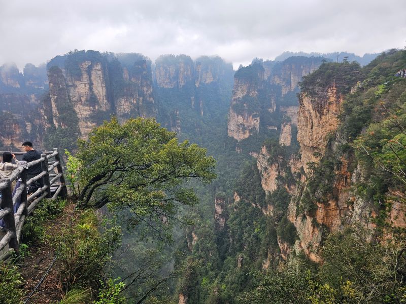 /upload/kjtrekking/file/bd1100/202606/kjtrekking_cm9910_30001633.jpg