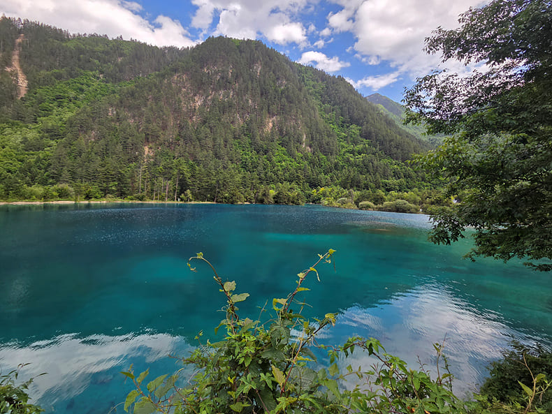 /upload/kjtrekking/file/bd1100/202606/kjtrekking_cm9910_30001747.jpg