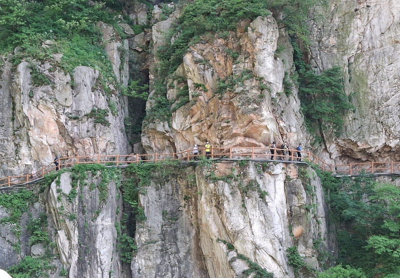/upload/kjtrekking/file/bd1100/202606/kjtrekking_cm9910_30001785.jpg