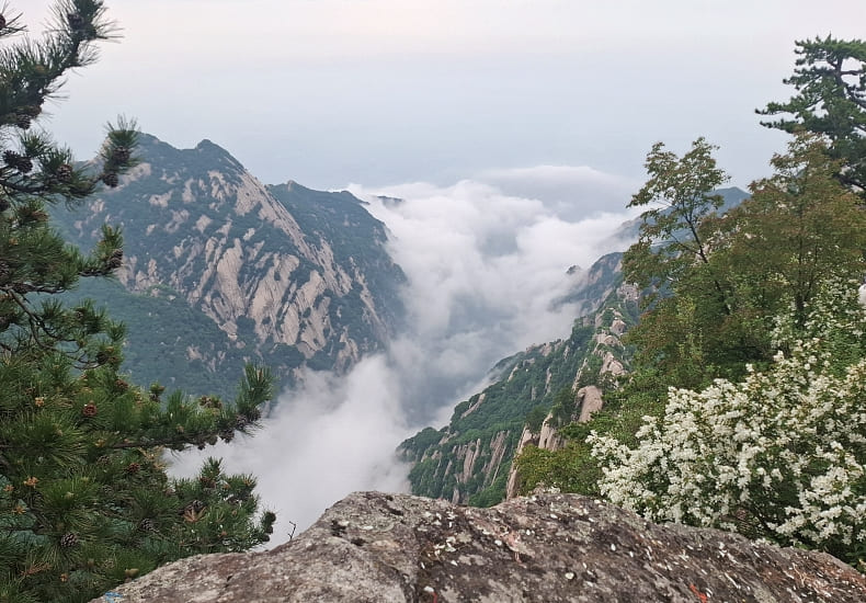 /upload/kjtrekking/file/bd1100/202606/kjtrekking_cm9910_30001800.jpg