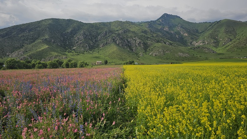 /upload/kjtrekking/file/bd1100/202607/kjtrekking_cm9910_30001848.jpg