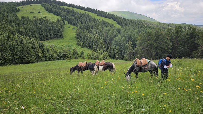/upload/kjtrekking/file/bd1100/202607/kjtrekking_cm9910_30001851.jpg