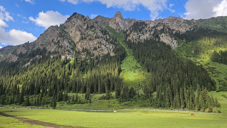 /upload/kjtrekking/file/bd1100/202607/kjtrekking_cm9910_30001855.jpg
