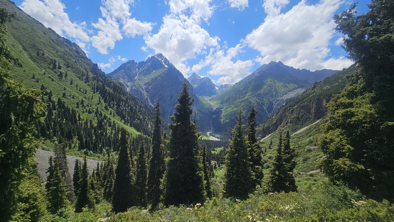 /upload/kjtrekking/file/bd1100/202607/kjtrekking_cm9910_30001868.jpg