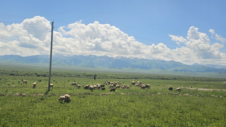 /upload/kjtrekking/file/bd1100/202607/kjtrekking_cm9910_30001869.jpg