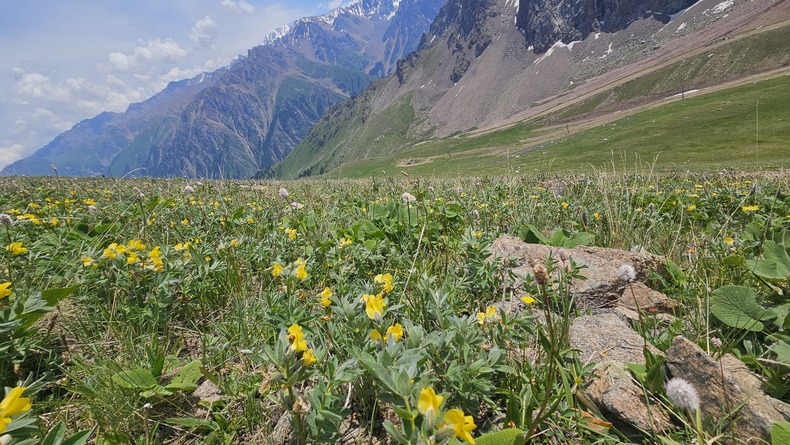 /upload/kjtrekking/file/bd1100/202607/kjtrekking_cm9910_30001873.jpg