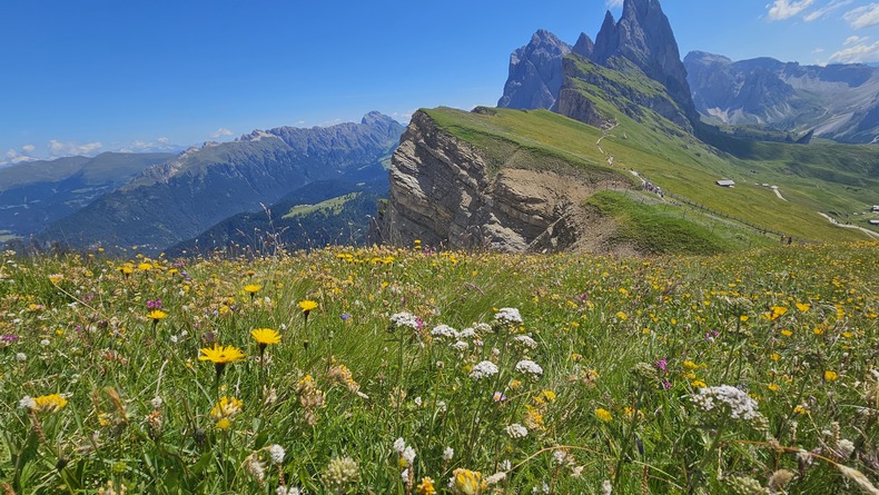/upload/kjtrekking/file/bd1100/202608/kjtrekking_cm9910_30001912.jpg