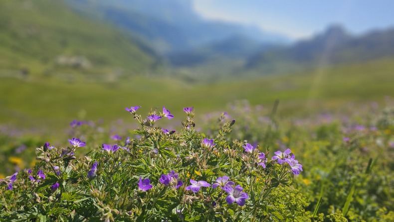 /upload/kjtrekking/file/bd1100/202608/kjtrekking_cm9910_30001915.jpg