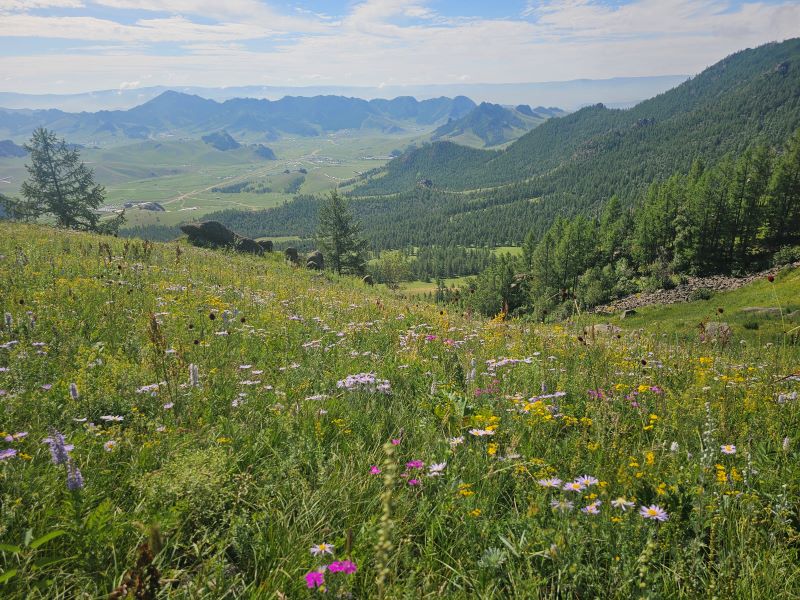 /upload/kjtrekking/file/bd1100/202608/kjtrekking_cm9910_30001980.jpg