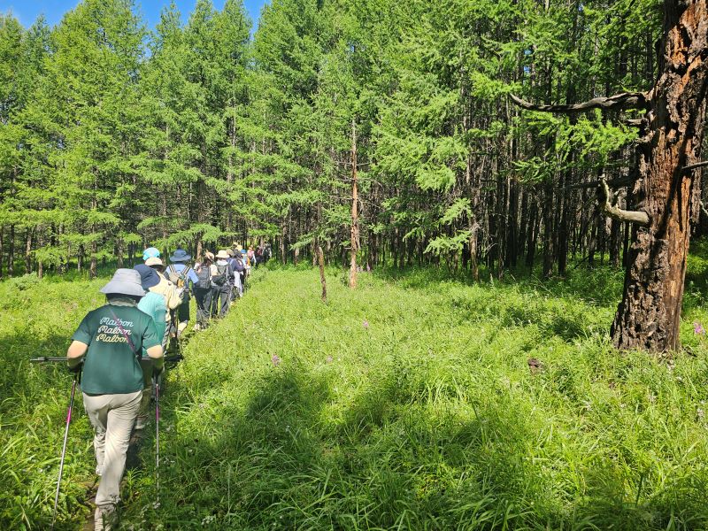 /upload/kjtrekking/file/bd1100/202608/kjtrekking_cm9910_30001983.jpg