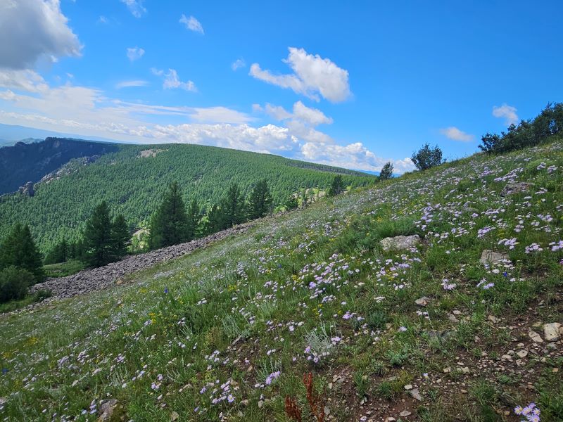 /upload/kjtrekking/file/bd1100/202608/kjtrekking_cm9910_30001984.jpg