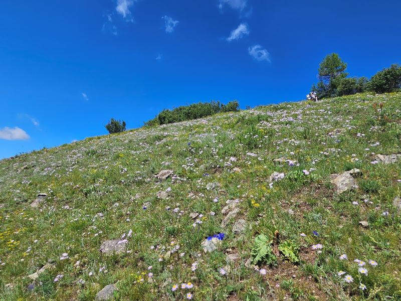 /upload/kjtrekking/file/bd1100/202608/kjtrekking_cm9910_30001987.jpg