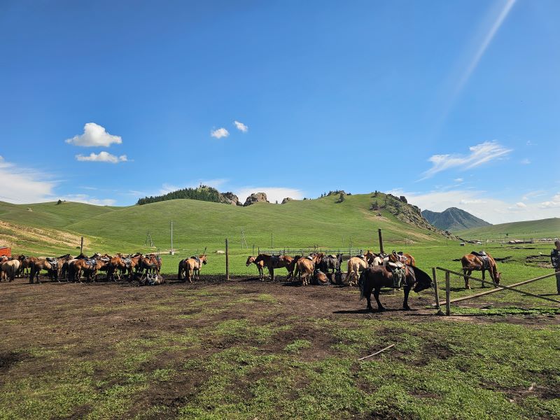 /upload/kjtrekking/file/bd1100/202608/kjtrekking_cm9910_30001993.jpg