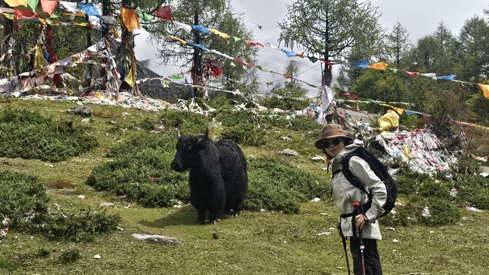/upload/kjtrekking/file/bd1100/202609/kjtrekking_cm9910_30002141.jpg