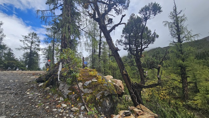 /upload/kjtrekking/file/bd1100/202609/kjtrekking_cm9910_30002150.jpg