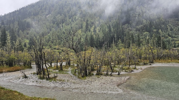 /upload/kjtrekking/file/bd1100/202609/kjtrekking_cm9910_30002169.jpg