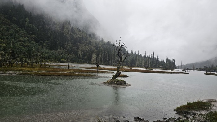 /upload/kjtrekking/file/bd1100/202609/kjtrekking_cm9910_30002170.jpg