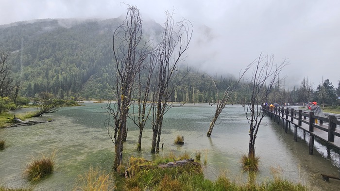 /upload/kjtrekking/file/bd1100/202609/kjtrekking_cm9910_30002174.jpg