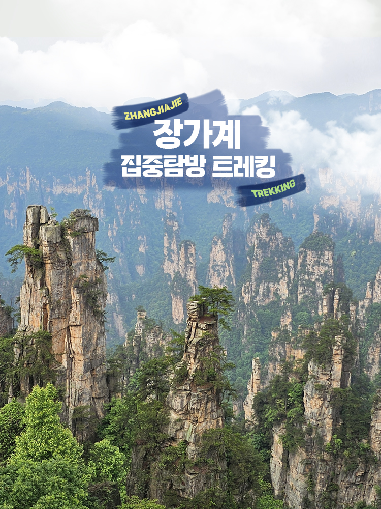 /upload/kjtrekking/file/we1100/202505/kjtrekking_cm9910_30000439.jpg