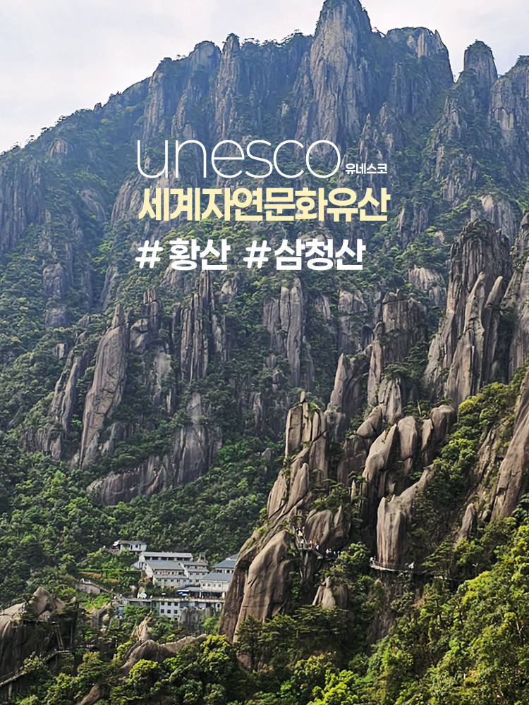 /upload/kjtrekking/file/we1100/202505/kjtrekking_cm9910_30000441.jpg