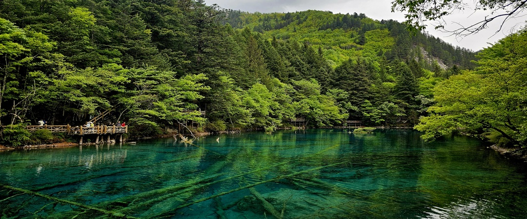 /upload/kjtrekking/image/goods/main/30000015/kjtrekking_cm9900_30000395.jpg