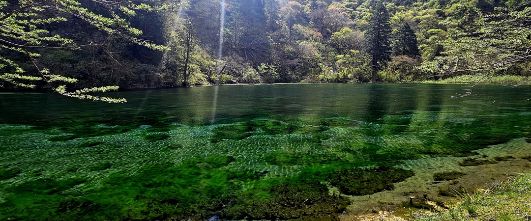 /upload/kjtrekking/image/goods/main/30000015/kjtrekking_cm9900_30000397.jpg