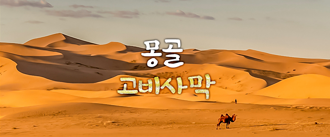 /upload/kjtrekking/image/goods/main/30000029/kjtrekking_cm9900_30000329.jpg