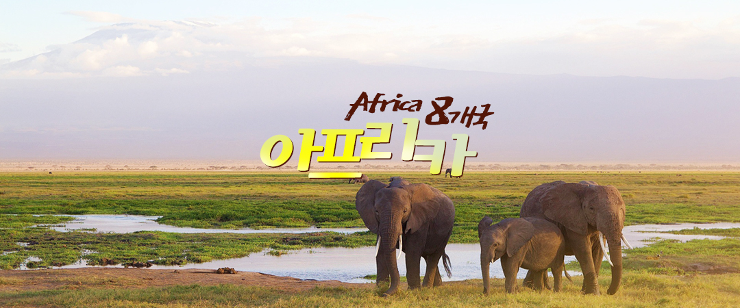 /upload/kjtrekking/image/goods/main/30000030/kjtrekking_cm9900_30000460.jpg