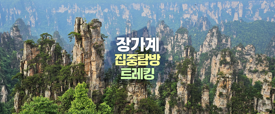 /upload/kjtrekking/image/goods/main/30000031/kjtrekking_cm9900_30000467.jpg