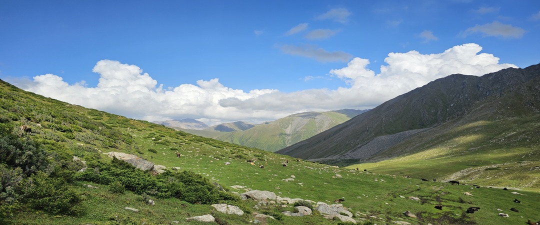 /upload/kjtrekking/image/goods/main/30000040/kjtrekking_cm9900_30000514.jpg