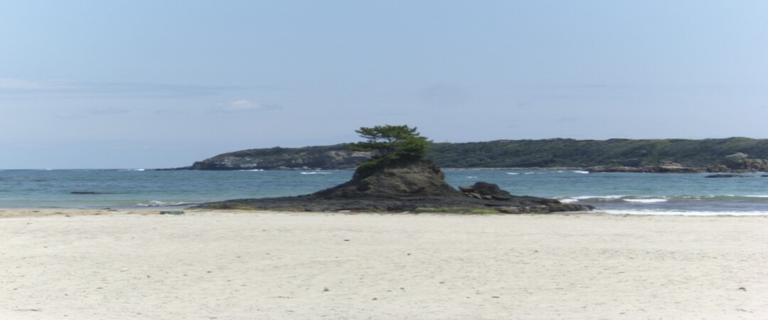 /upload/kjtrekking/image/goods/main/30000045/kjtrekking_cm9900_30000545.jpg