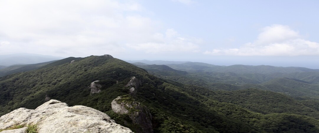/upload/kjtrekking/image/goods/main/30000045/kjtrekking_cm9900_30000546.jpg