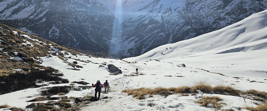 /upload/kjtrekking/image/goods/main/30000050/kjtrekking_cm9900_30000574.jpg