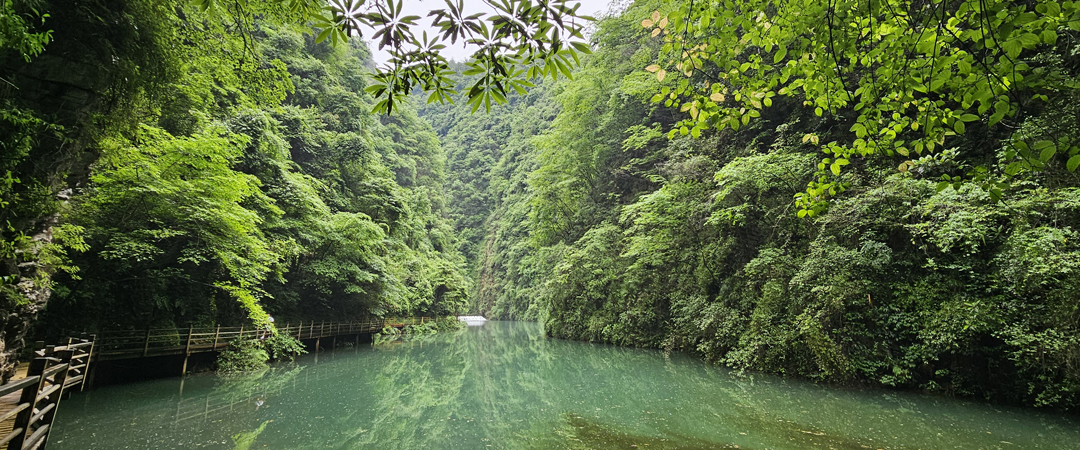 /upload/kjtrekking/image/goods/main/30000053/kjtrekking_cm9900_30000607.jpg