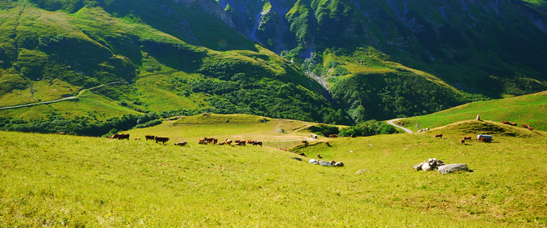 /upload/kjtrekking/image/goods/main/30000054/kjtrekking_cm9900_30000614.jpg